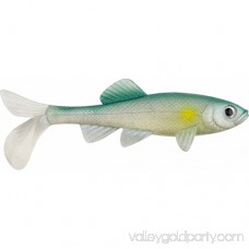 Berkley Havoc 4 Sick Fish 553755751